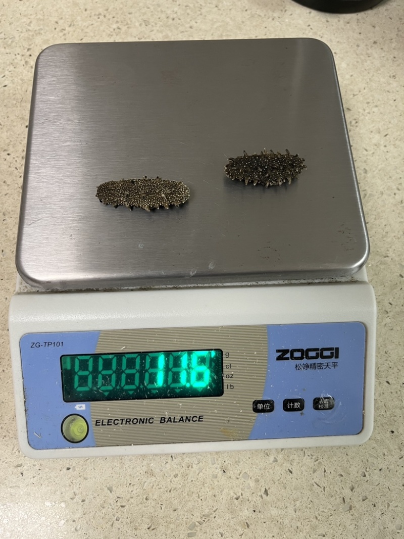 辽参大连底播纯淡干，自家加工，源头工厂，保发18斤