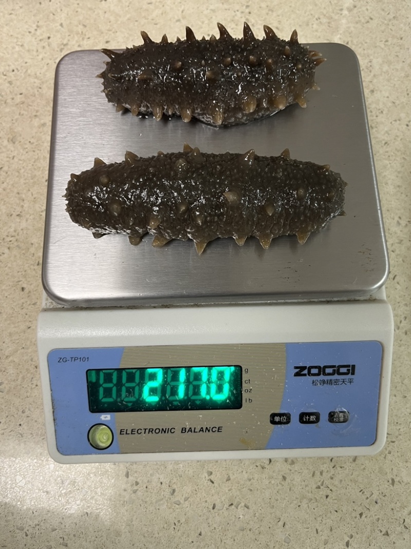 辽参大连底播纯淡干，自家加工，源头工厂，保发18斤