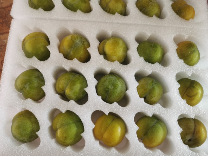 贵州六马蜂糖口感脆甜多汁独特风味