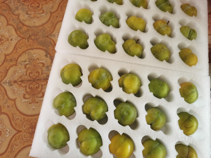贵州六马蜂糖口感脆甜多汁独特风味