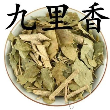 九里香中草药千里香满江香七里香木中药材店