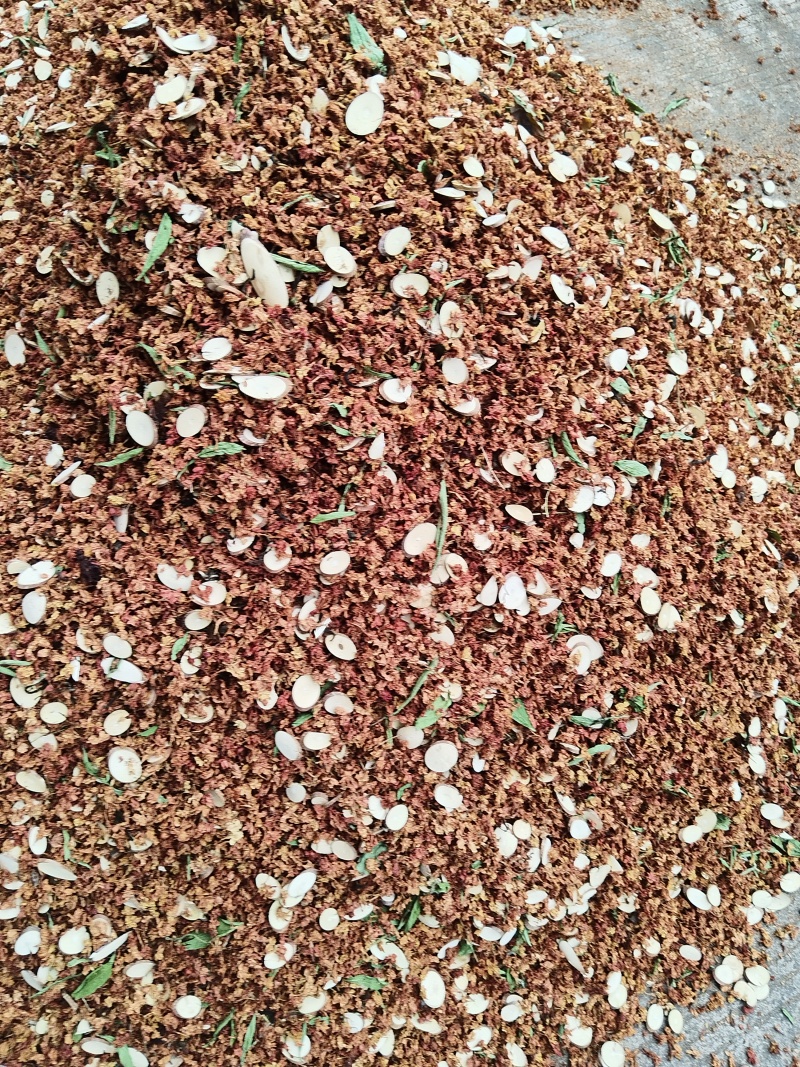 金龙茶，三合一，茉莉花甜叶菊桑枝片一手货原批发