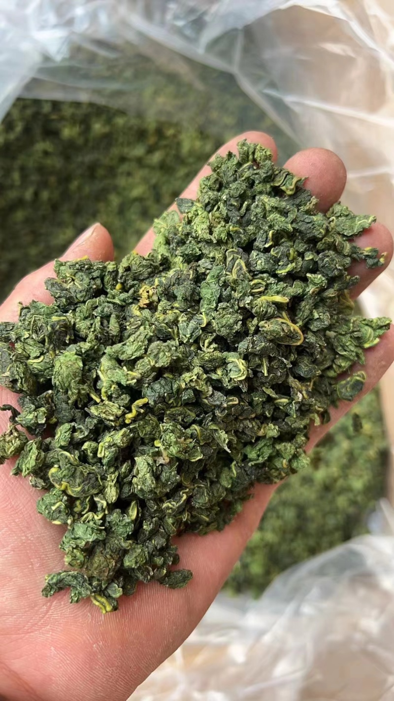 桑叶新货桑叶茶干净无杂质泡水批发