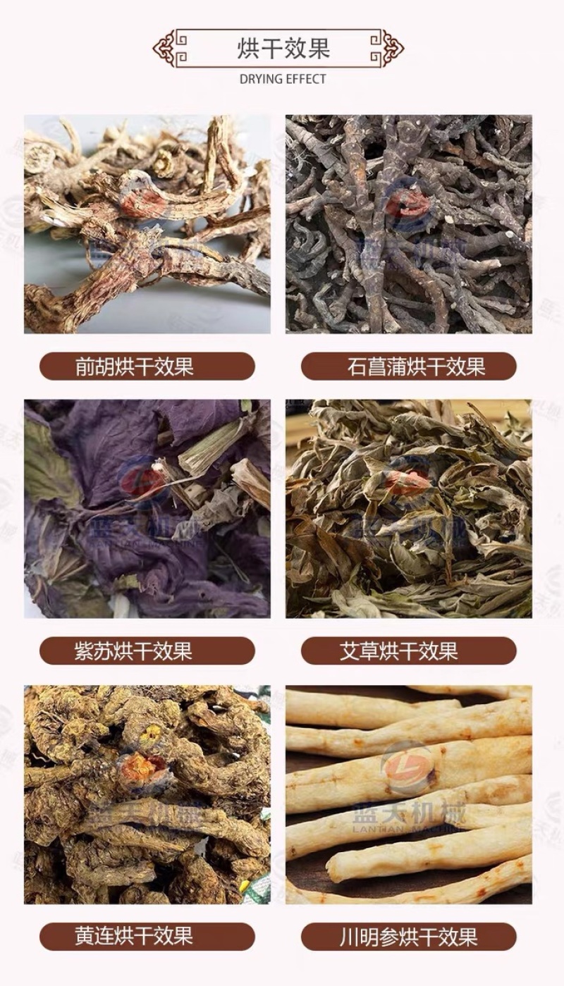 中药材烘干机前胡石菖蒲何首乌紫苏地黄黄精丹参干燥设备