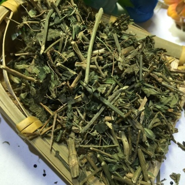 中药材九头狮子草九子连环草