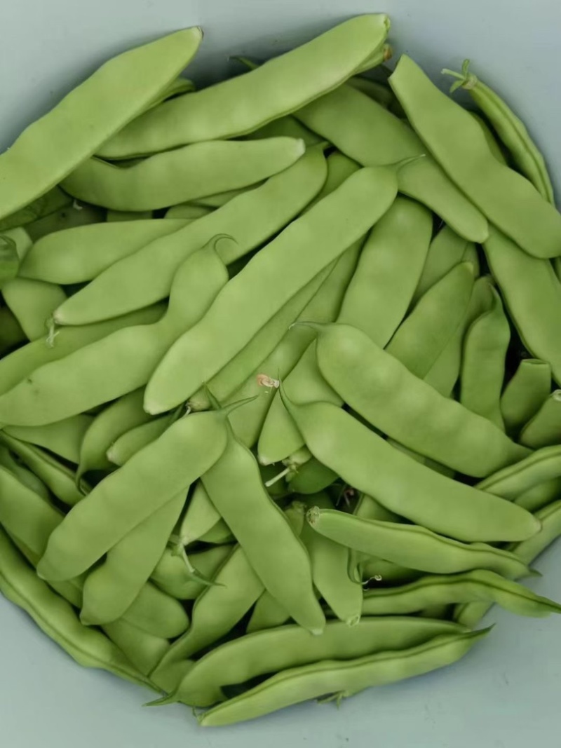 吉林油豆角