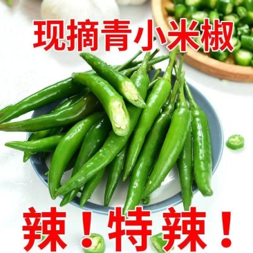 小米椒青米椒高辣电商市场团购一件代发