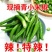 小米椒青米椒高辣电商市场团购一件代发