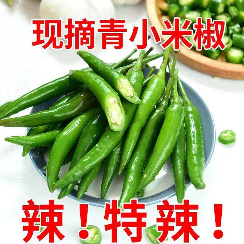 小米椒青米椒高辣电商市场团购一件代发