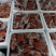 五香熟马肉