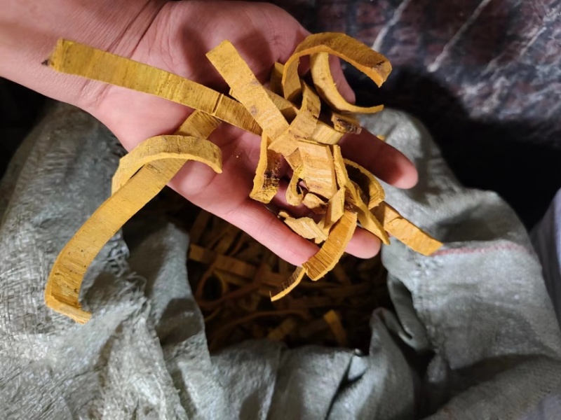 紫阳县精品黄柏，品质优良，可视频看货选货，欢迎选购