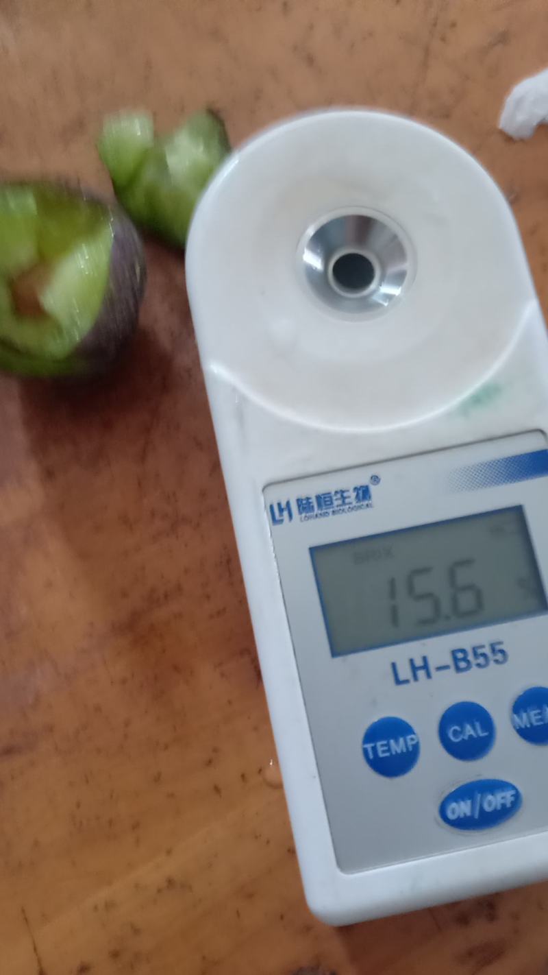 6月20号上市五月脆凤凰李zly202210