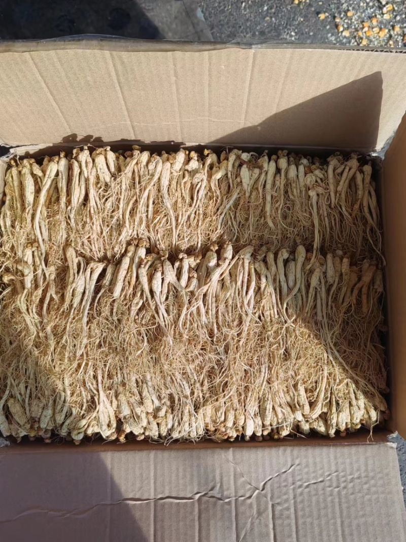 精选白参-产地直营-价格优惠规格齐全参地一发长年有货
