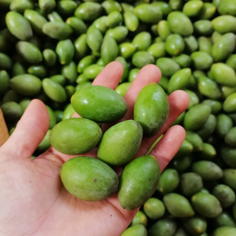 新鲜靓靓甜橄榄新鲜上市，品质保证！