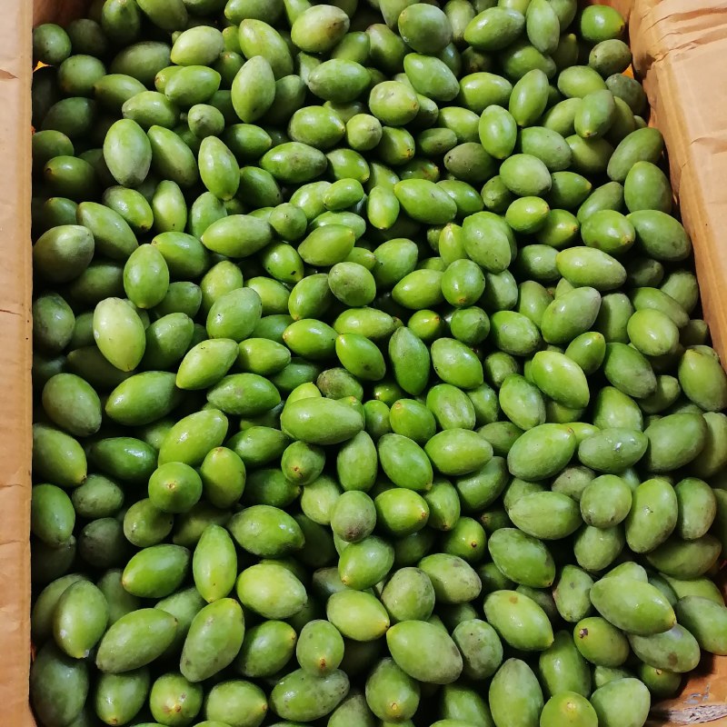 新鲜靓靓甜橄榄新鲜上市，品质保证！