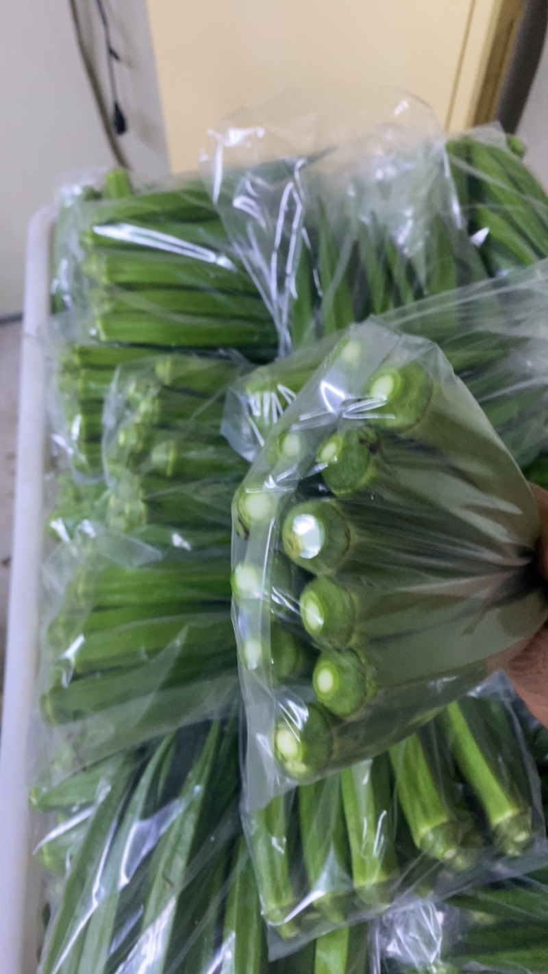 福建漳州小精品秋葵产地直发，保质保量，发往全国各地