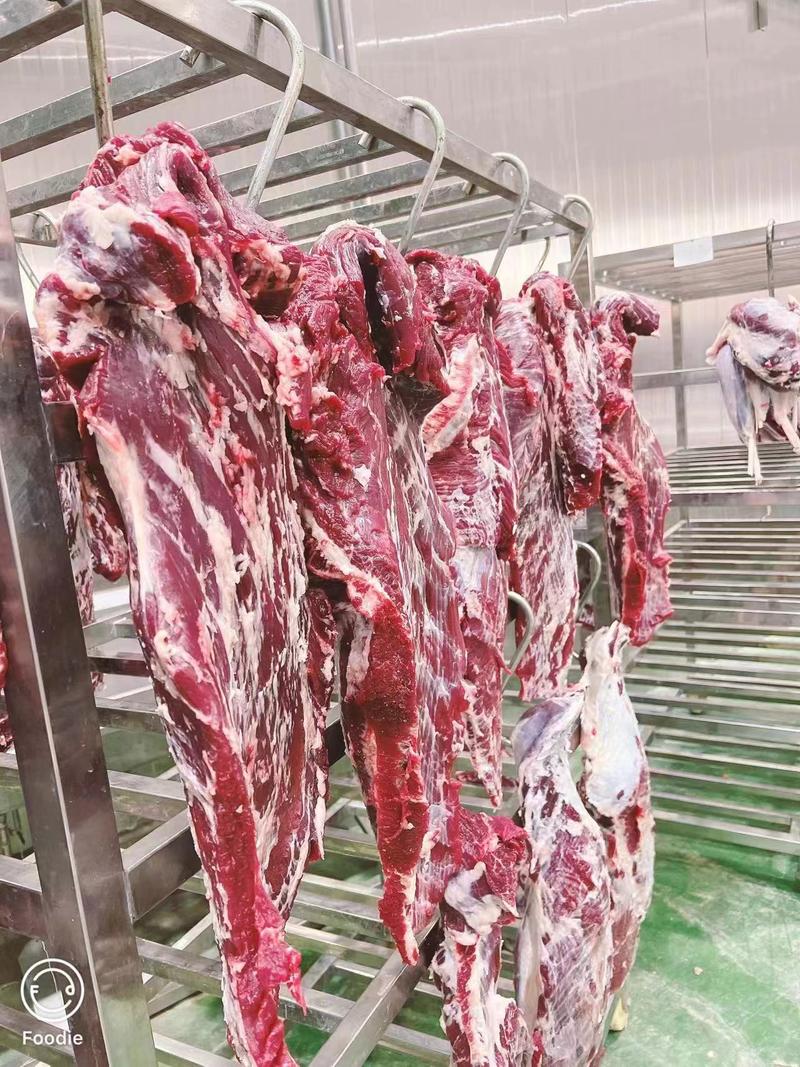 出售鲜牛肉每天500头。只做4分体可以长期合作。