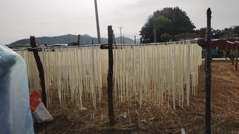 出口甜葫芦条