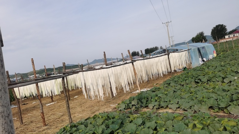 出口甜葫芦条