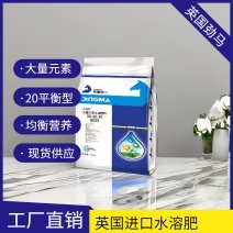 平衡型水溶肥料营养全面均衡防止黄叶早衰落花落果抗倒伏