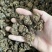 猫爪草中药材新货水洗猫爪草中草药包运费