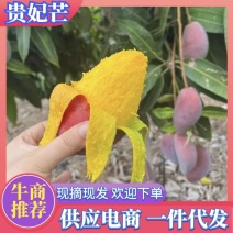 贵妃芒大果红金龙精品甜心芒果（电商一件代发）