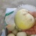 小甜瓜上市了