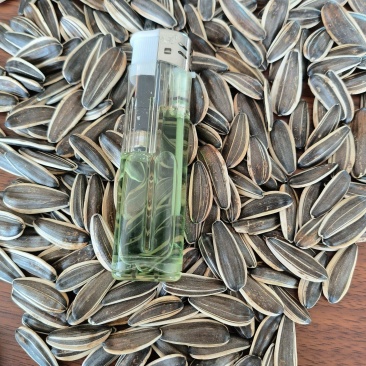 色选362葵花籽，量大电商客户可代发