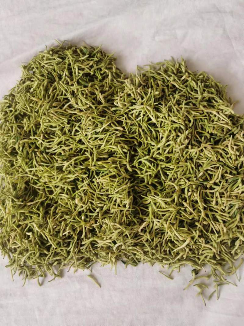 甘肃四季金银花，产地直发，量大从优，欢迎各位老板咨询