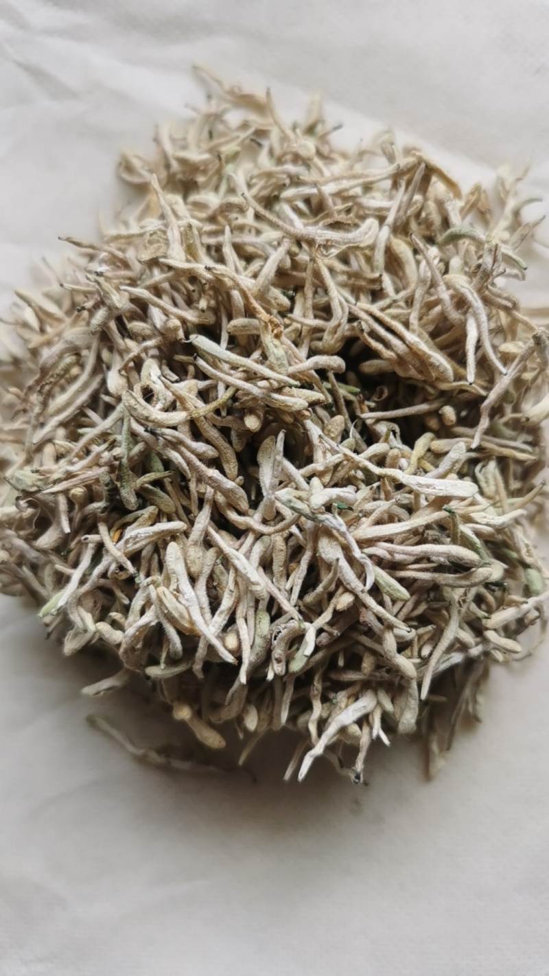 甘肃四季金银花，产地直发，量大从优，欢迎各位老板咨询