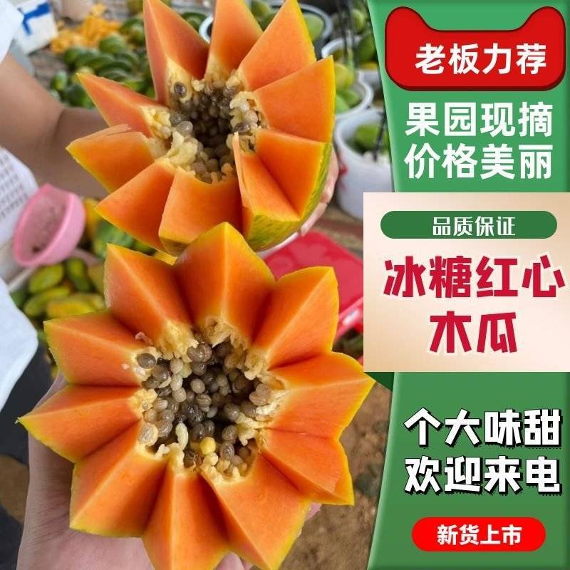 大青红心木瓜冰糖红心木瓜产区直发社区团购电商商超