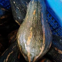 基地直发大量供货，质量保障欢迎咨询