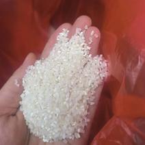 泰国白碎米粒粒饱满，米粉厂米酒厂米饲料米现货直发