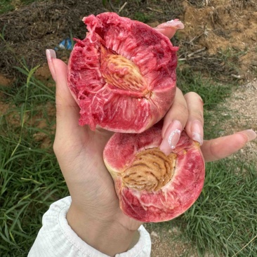 血桃，小时候的味道