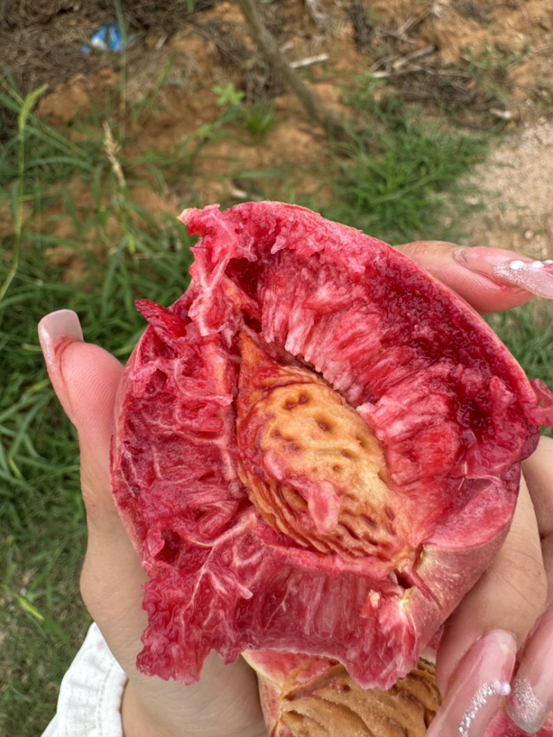 血桃，小时候的味道