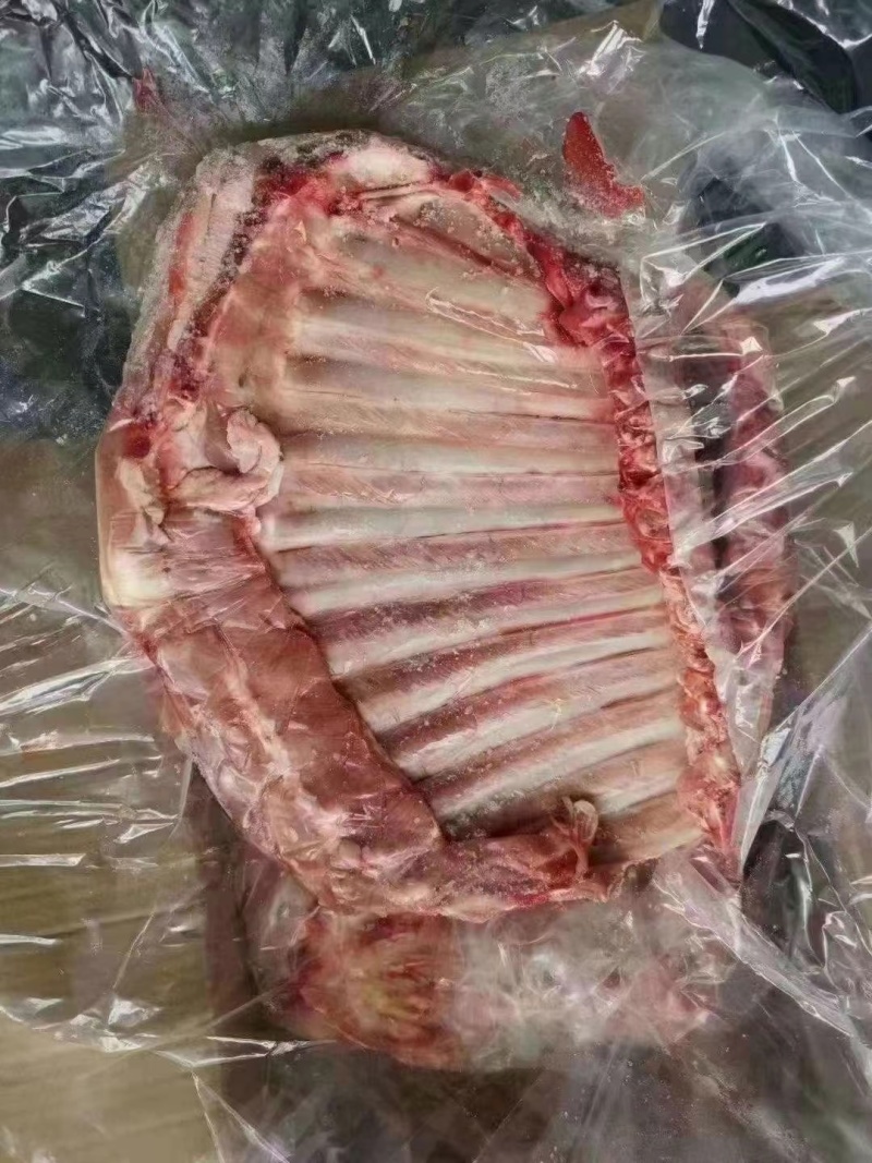 羔羊排（羊全排）