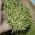 口粮茶推荐75一斤