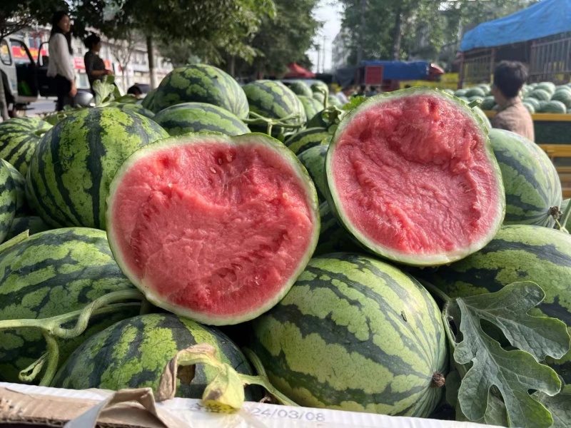 开封美都西瓜大量上市瓤口好甜度高品质保障货发全国