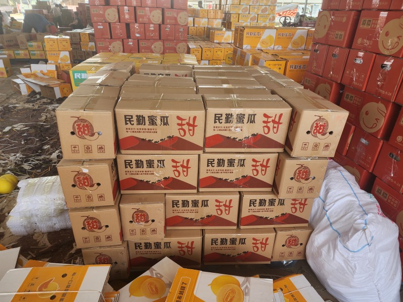 甘肃民勤金红宝蜜瓜，电商一件代发，全国包邮，品质保证