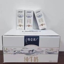 蒙牛特仑苏纯牛奶250ml*12盒营养牛奶3.6g蛋白质