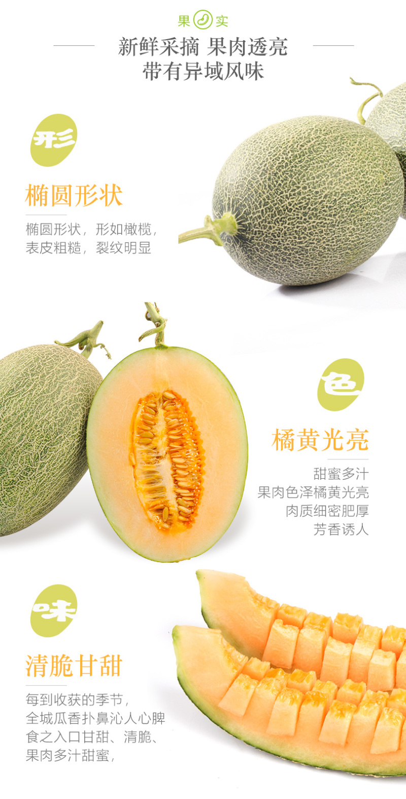 甘肃民勤蜜瓜，小蜜25号，西州蜜17号，专业代办诚信为本