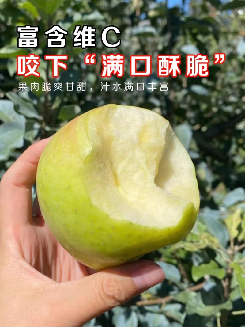 土岐青森明月王林水蜜桃青苹果，日本引进，甘甜多汁
