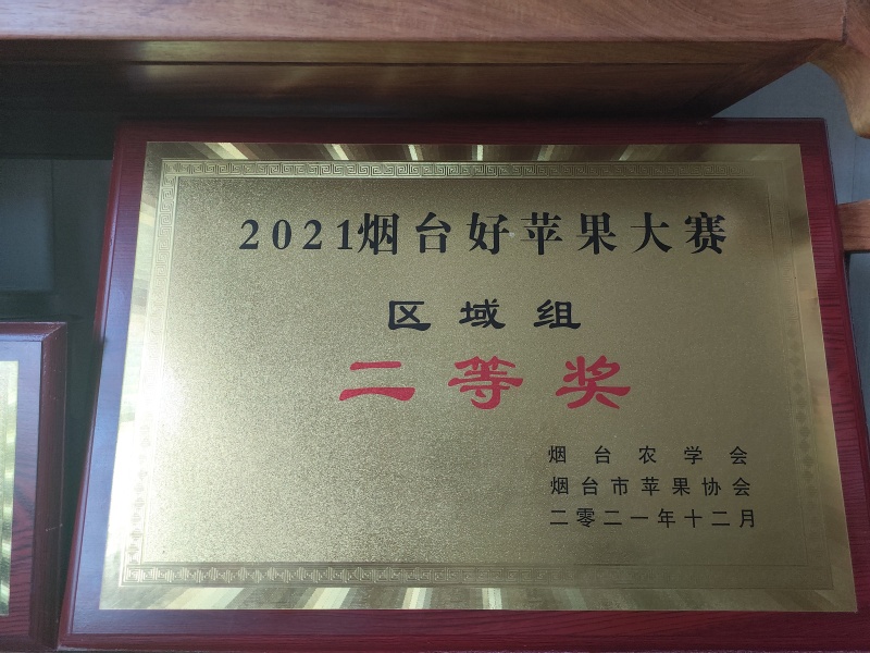 土岐青森明月王林水蜜桃青苹果，日本引进，甘甜多汁