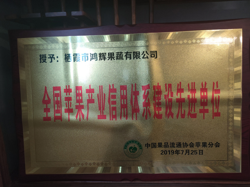 土岐青森明月王林水蜜桃青苹果，日本引进，甘甜多汁