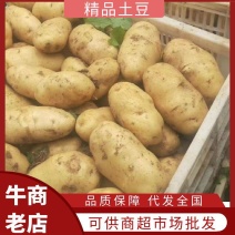 四川土豆沃土5号土豆货源充足品质保障需要电话洽谈