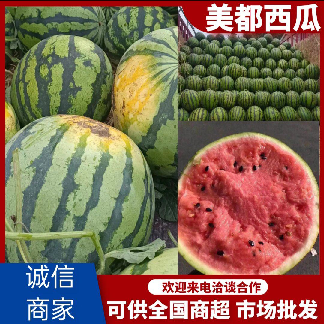 一亩田 | 美都西瓜河南开封通许县0.55元/斤 | 开封美都西瓜大量上
