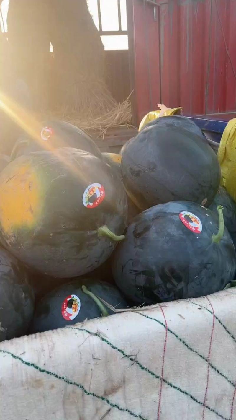 黑皮无籽西瓜露天一茬瓜专业农产品代办近十年大量现货