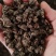 批发纯野猫爪草（一级货），不带毛的，一手货源，诚信经营！
