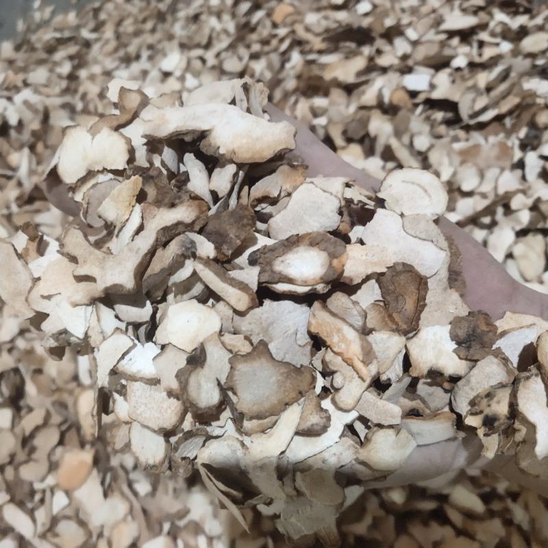 土茯苓小小片