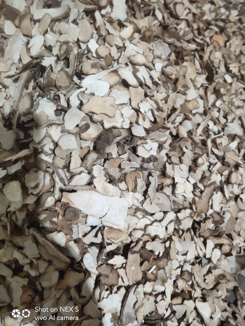 土茯苓小小片